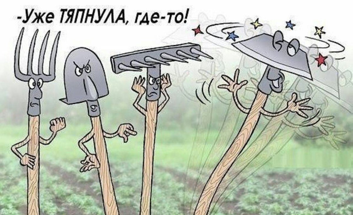 Смешные дачники