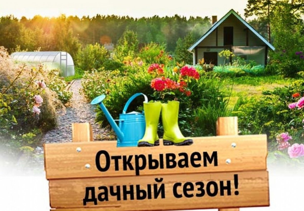 Дачный сезон открыт