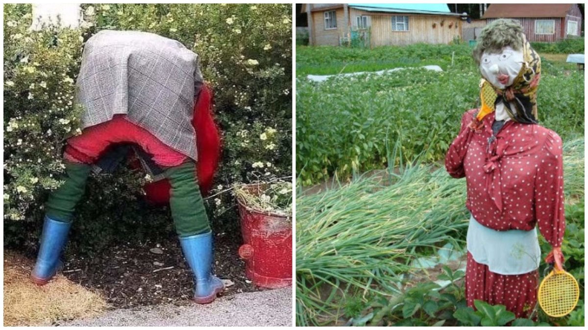 Чучело на даче прикольные