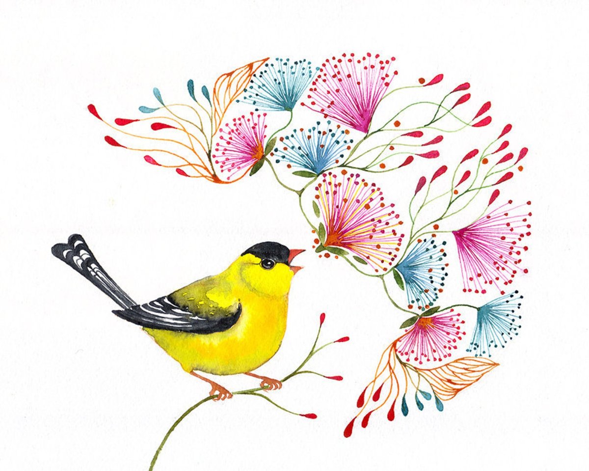 Красивая птичка рисунок