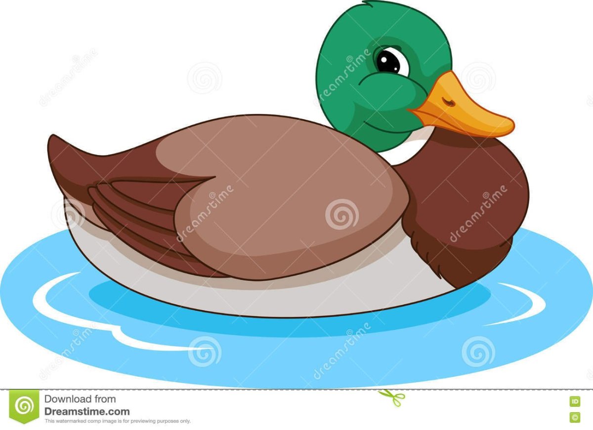 Утята на пруду для детей