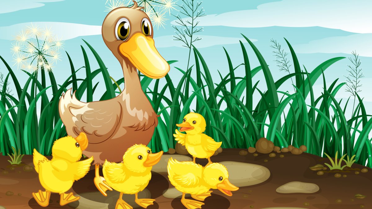 Утка мультяшная на белом фоне