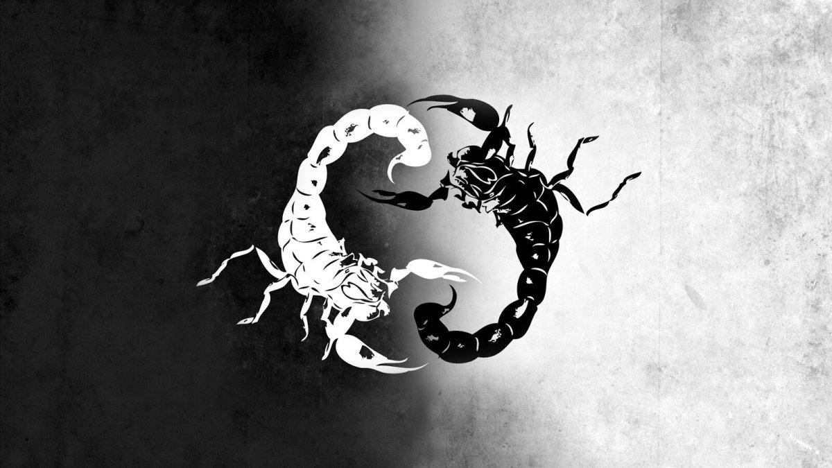 Скорпион арт