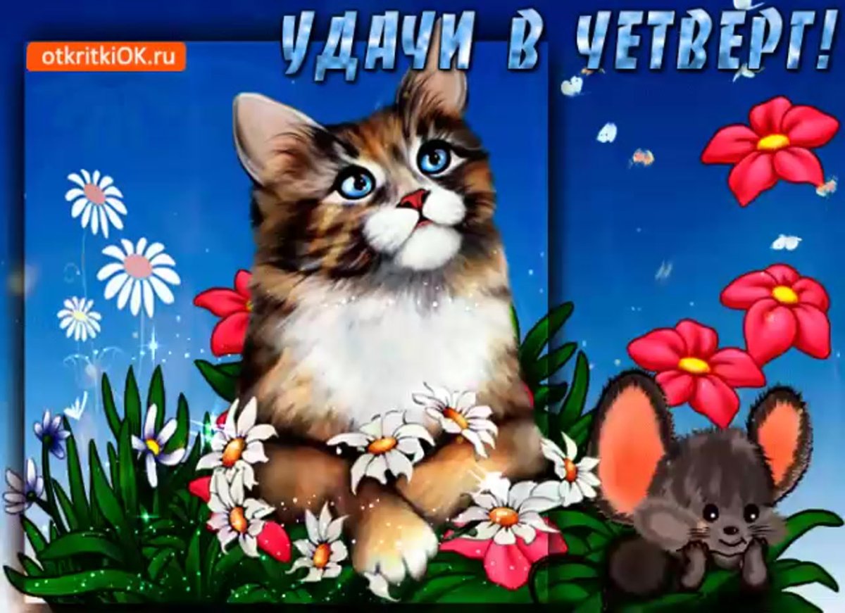 Открытки с пожеланиями удачной недели