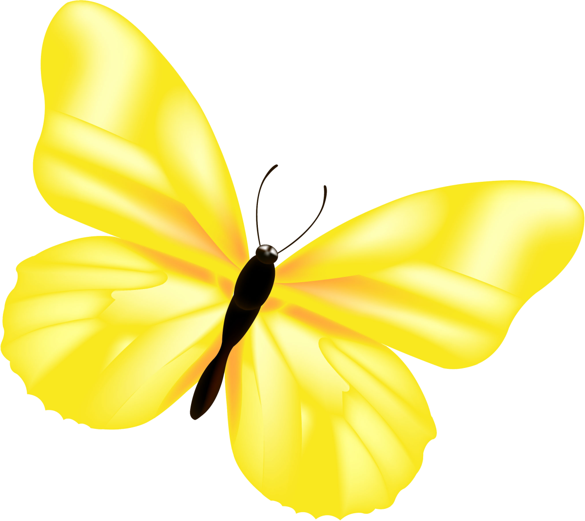 Бабочка желтого цвета