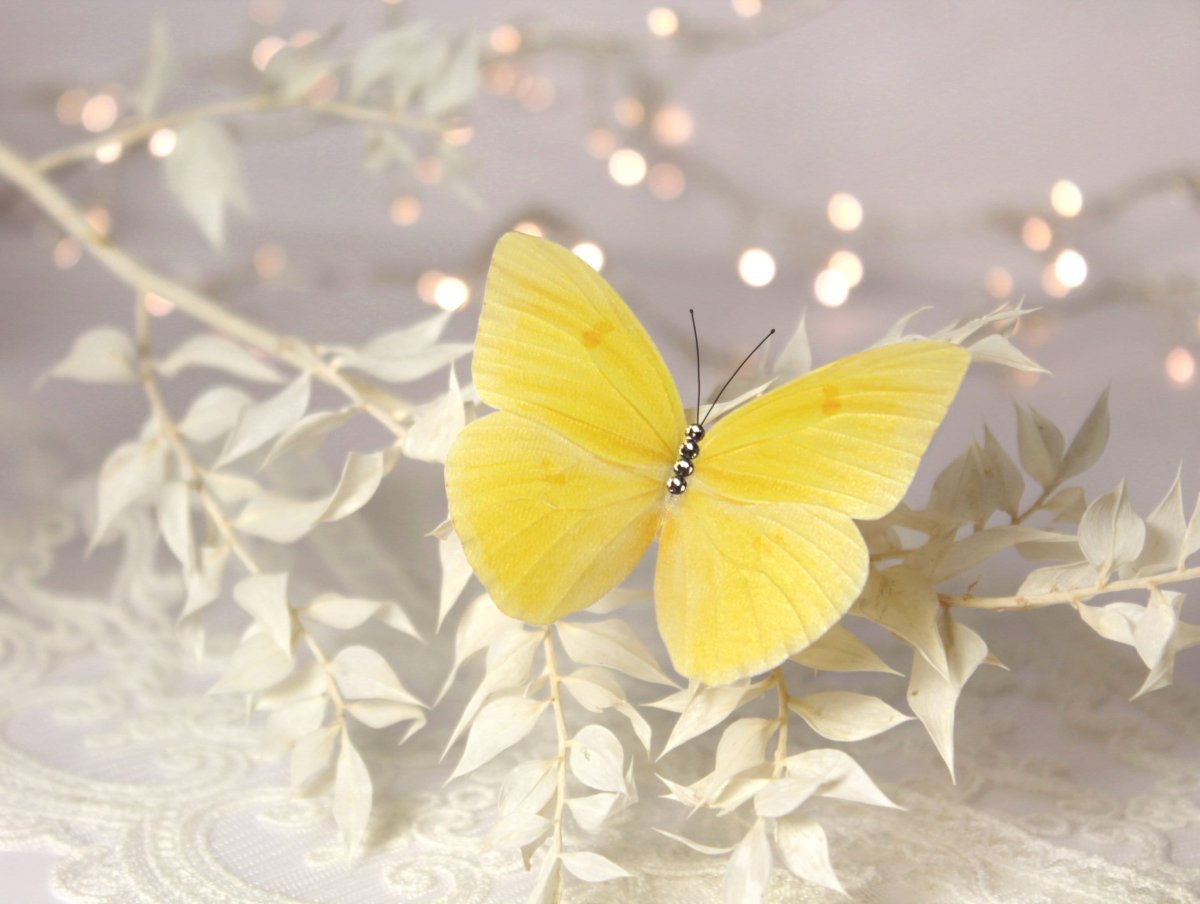 Жёлтая бабочка