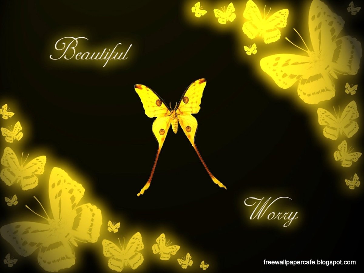 Рисунки бабочек много желтые