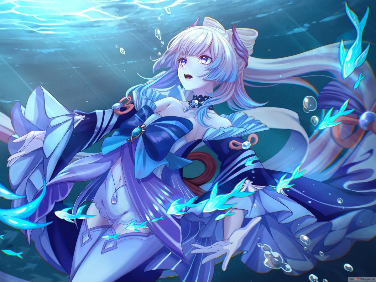 Сангономия коокми