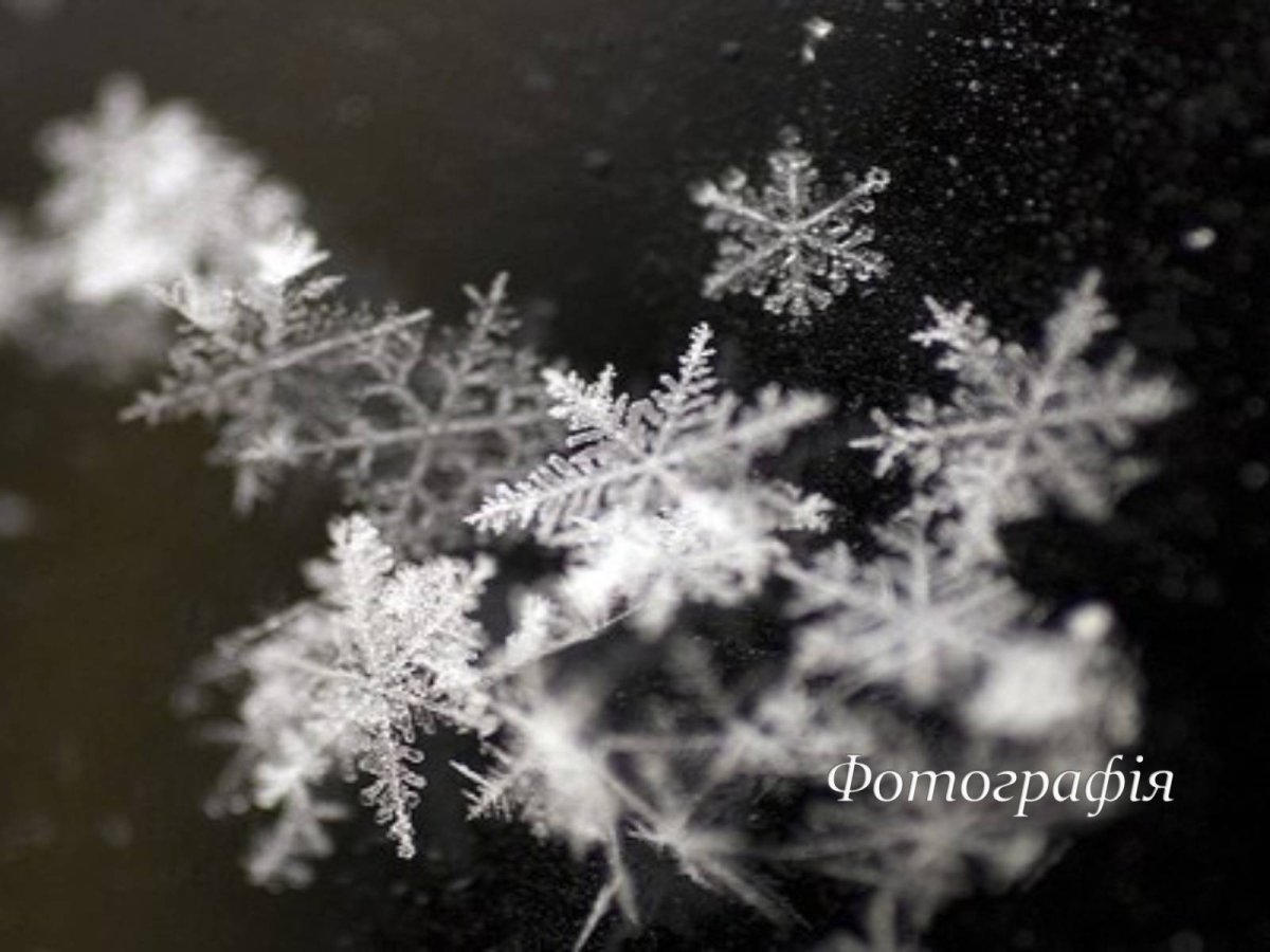 Первый снег снежинки