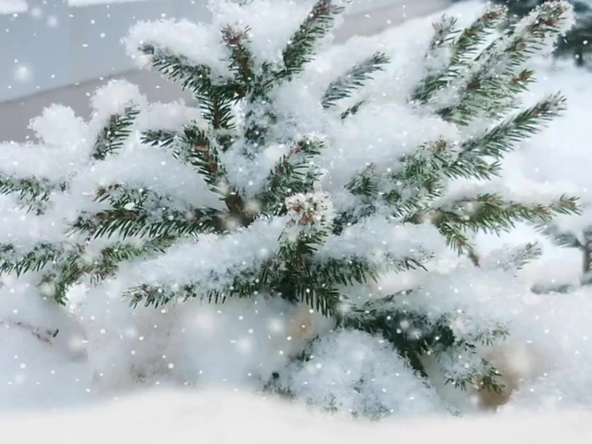 Пушистый снег красиво