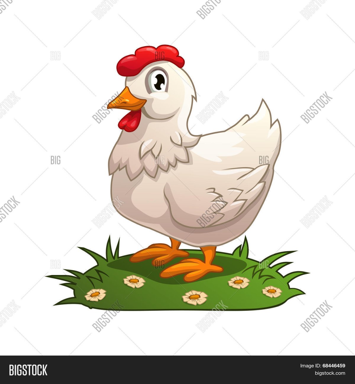 Курица на белом фоне в ДОУ