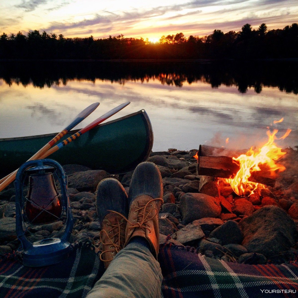 Вечерний лес