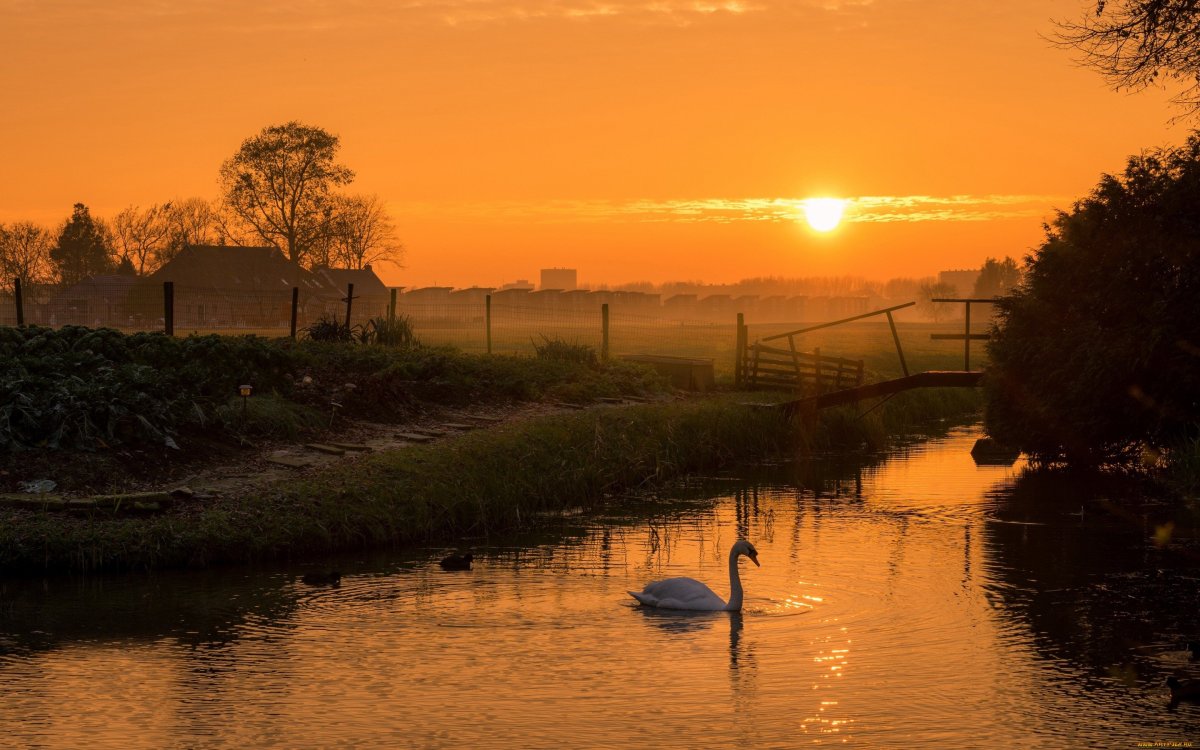 Природа деревня