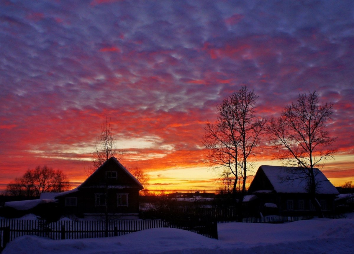 Летний вечер на даче