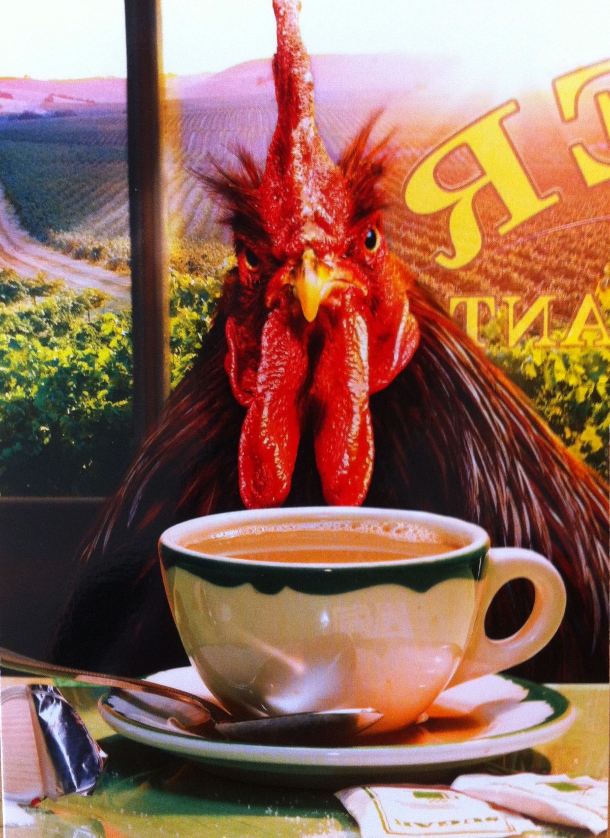 Всемирный день яйца