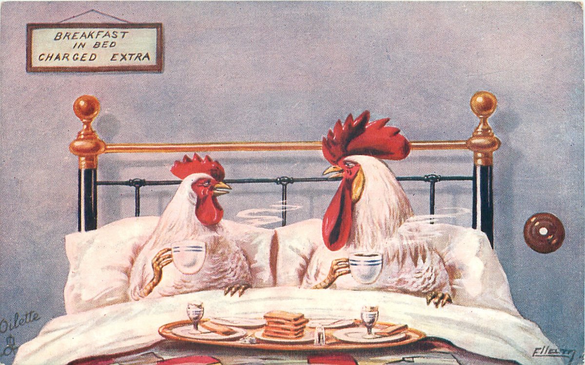 С добрым утром курица