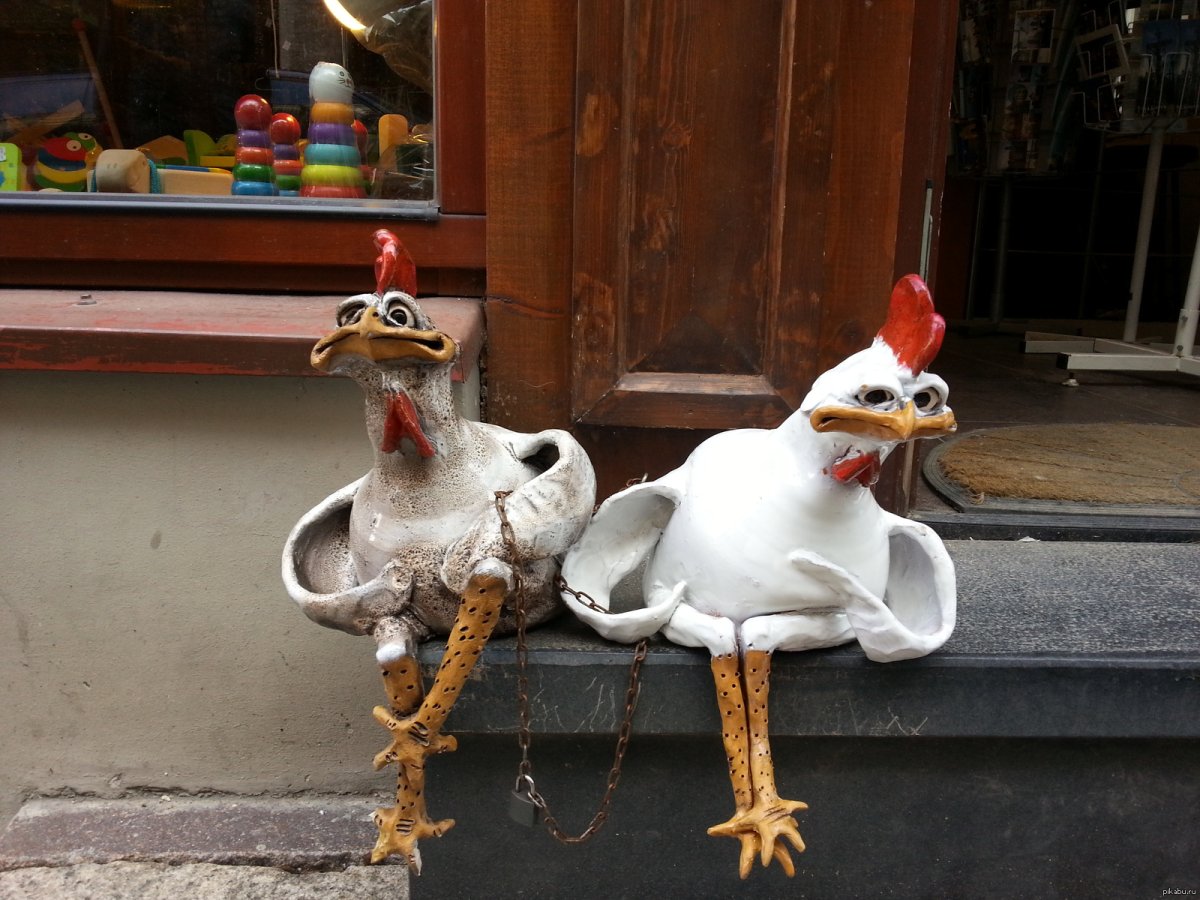 Фото с добрым утром с юмором