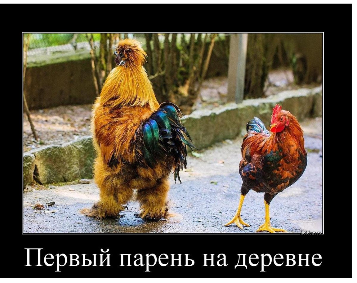 Открытки с добрым утром