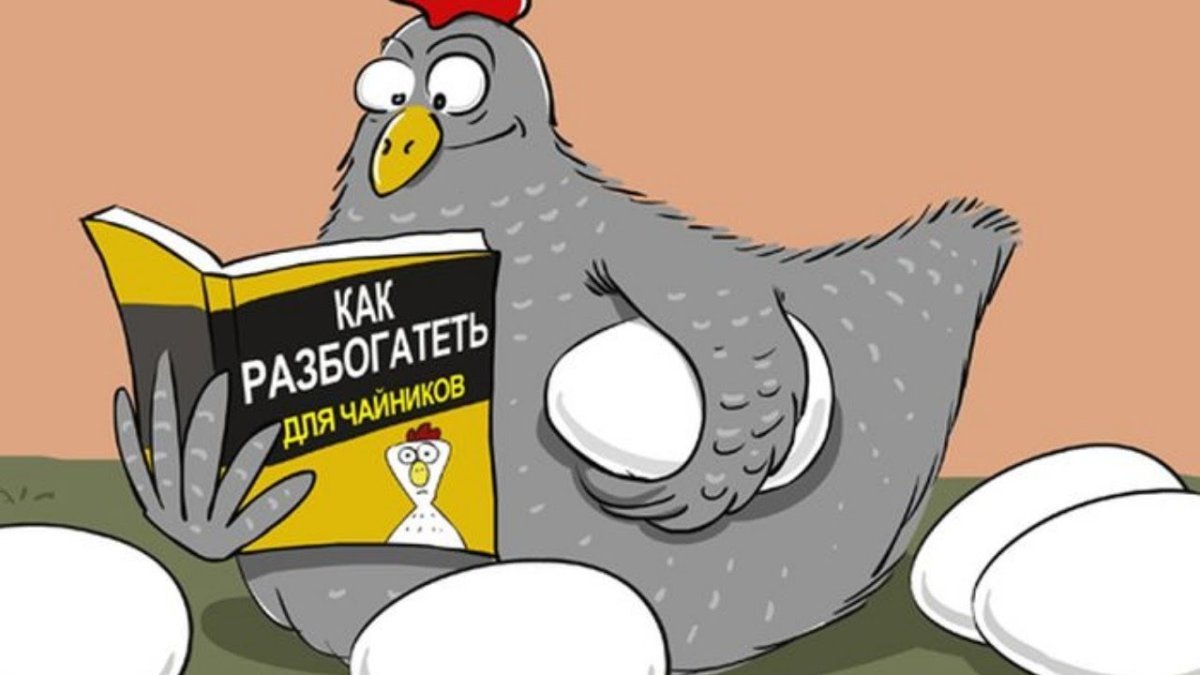 Кот среди куриц