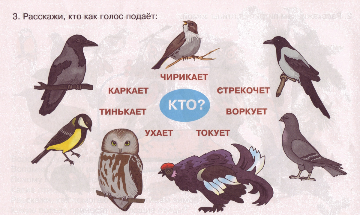 Зимующие птицы задания для детей