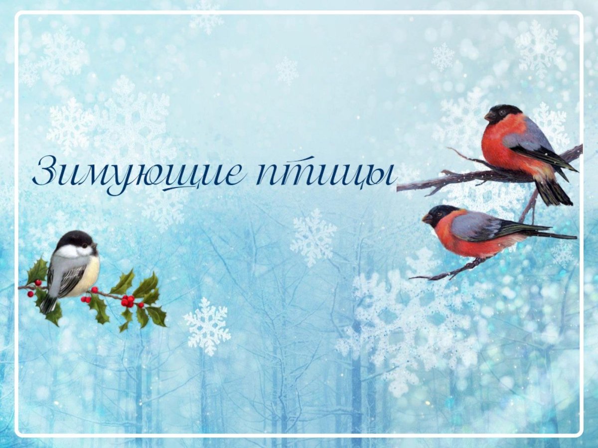 Проект зимующие птицы