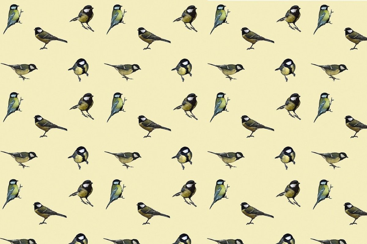 Много маленьких птичек