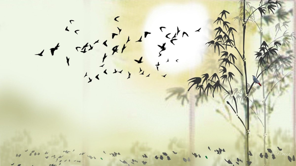 Фотообои с японскими журавлями