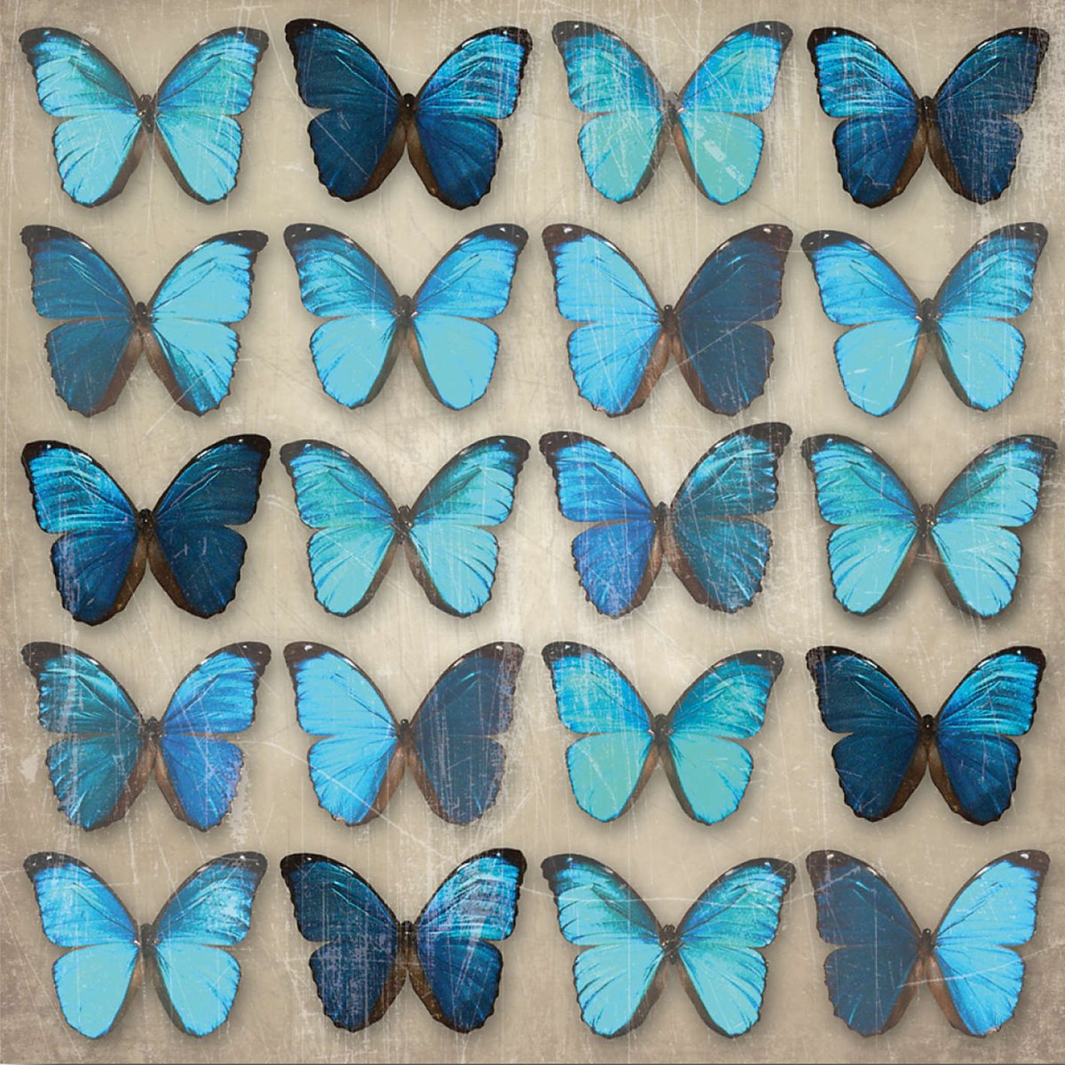 Голубые бабочки Эстетика