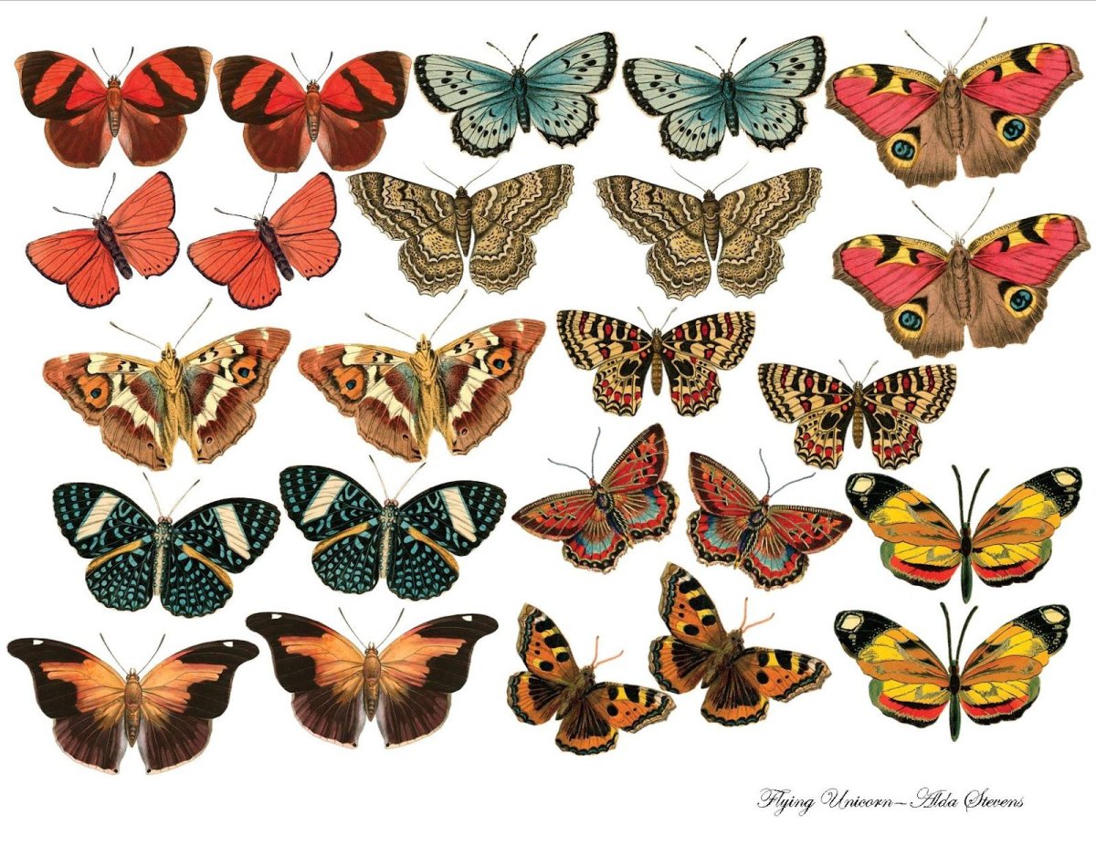 Бабочки Скрапбукинг