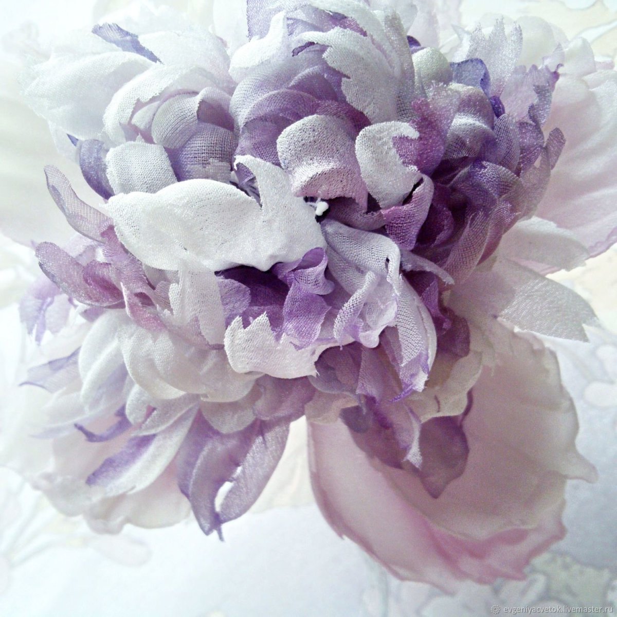 Лиловые пионы