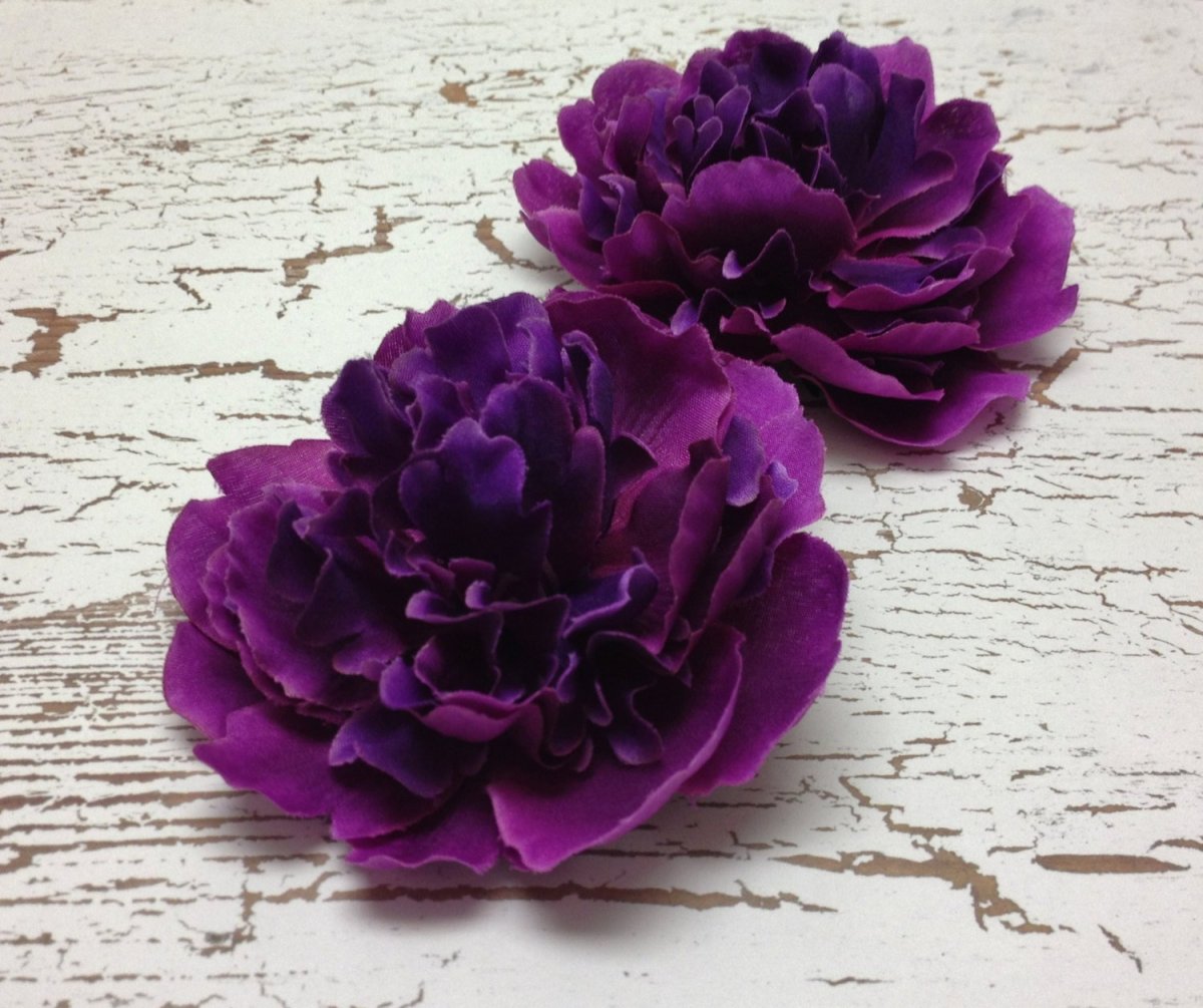 Пион Кэрол темно сиреневый