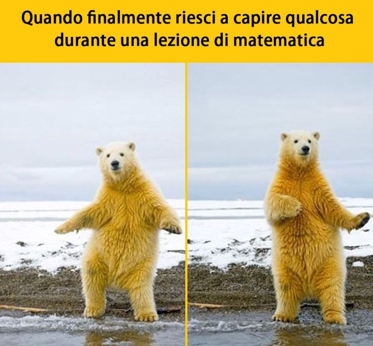 Хороших выходных котики