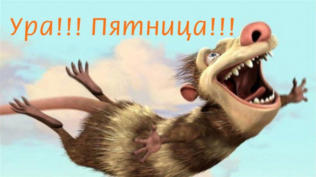 Открытки с добрым утром пятницы