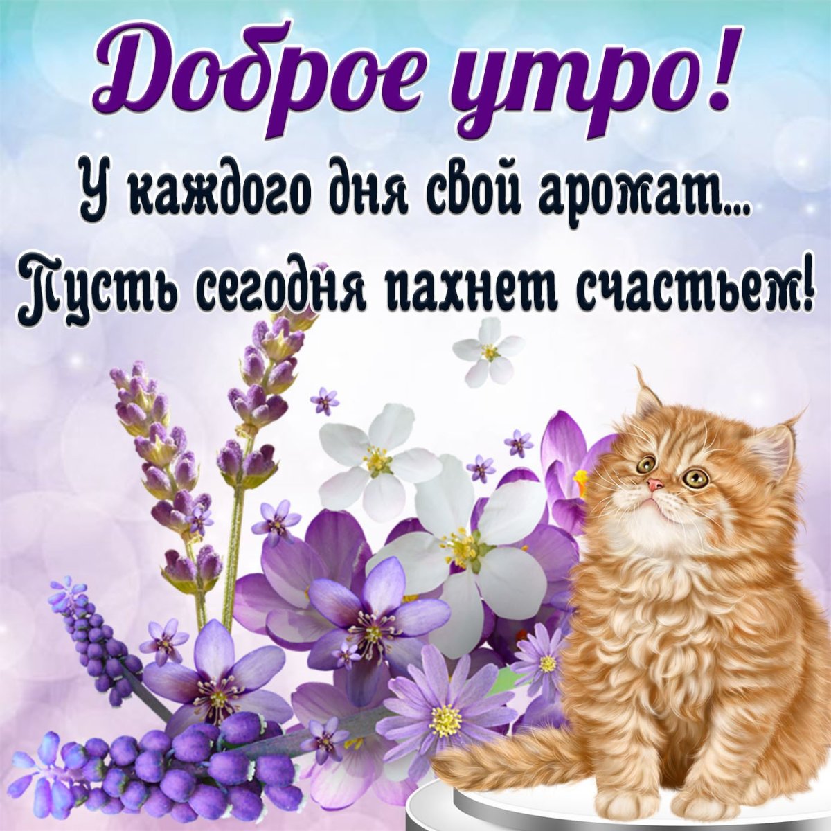 Открытки с добрым утром