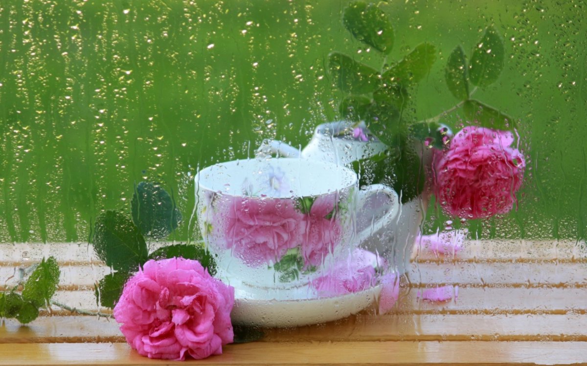 Доброе утро Весна дождь