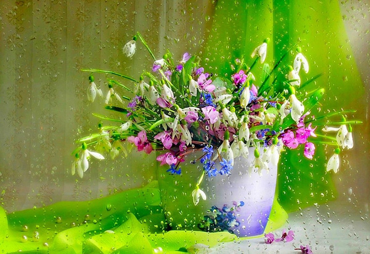 Ромашки и дождь