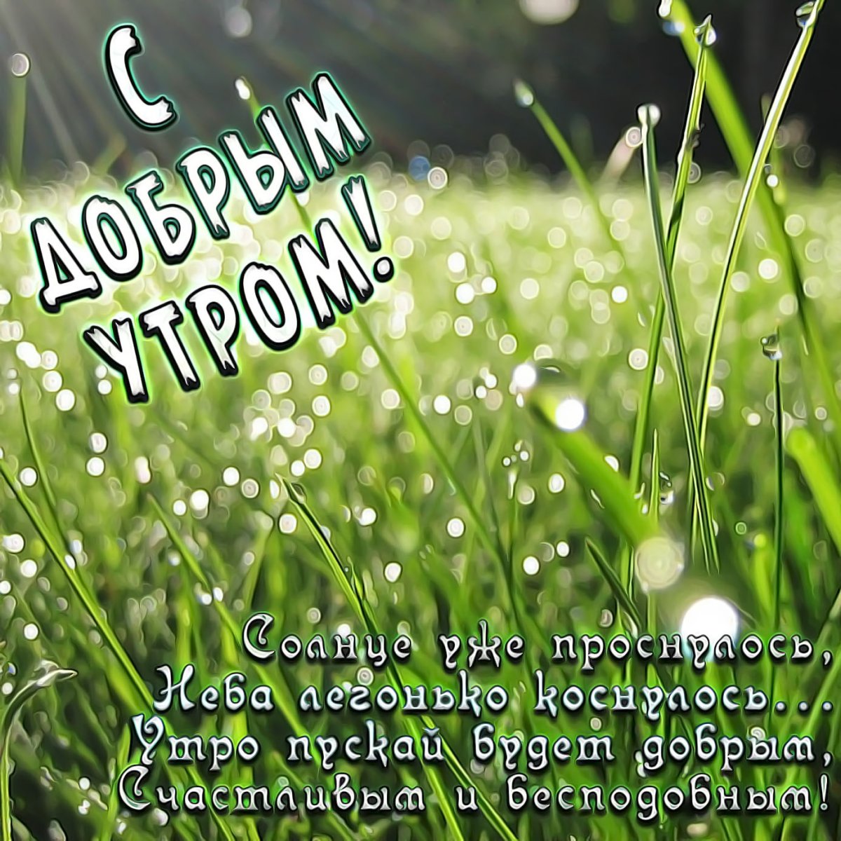 Доброе дождливое утро