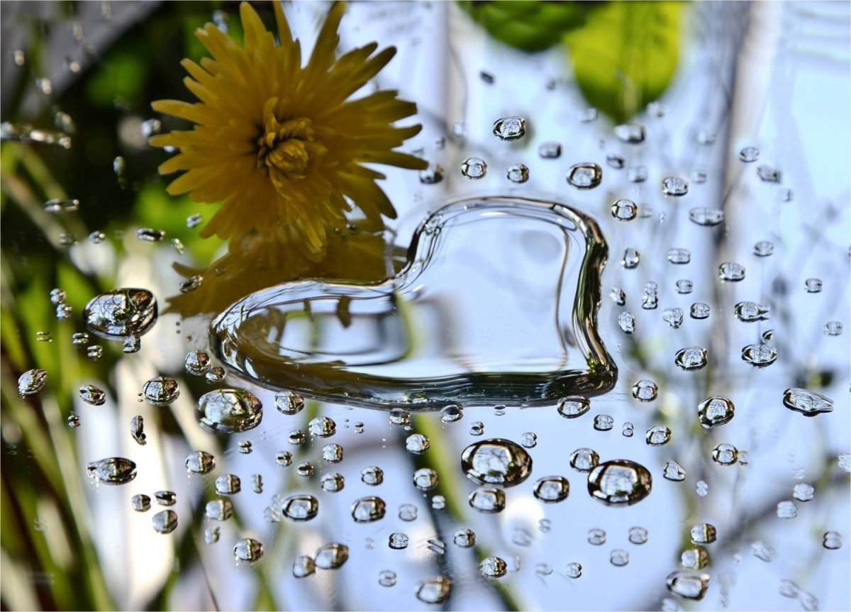 Доброе Майское утро