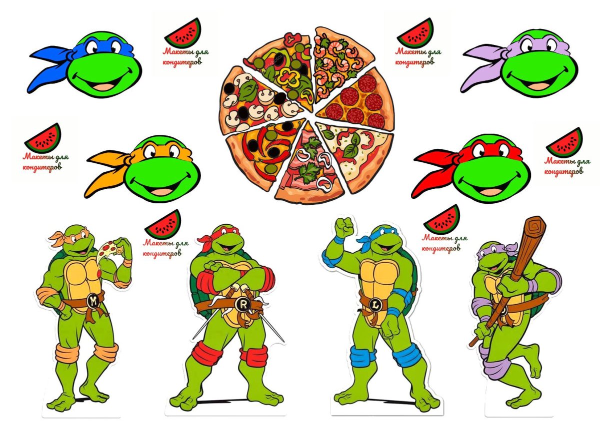 Teenage Mutant Ninja Turtles 2003 обложка