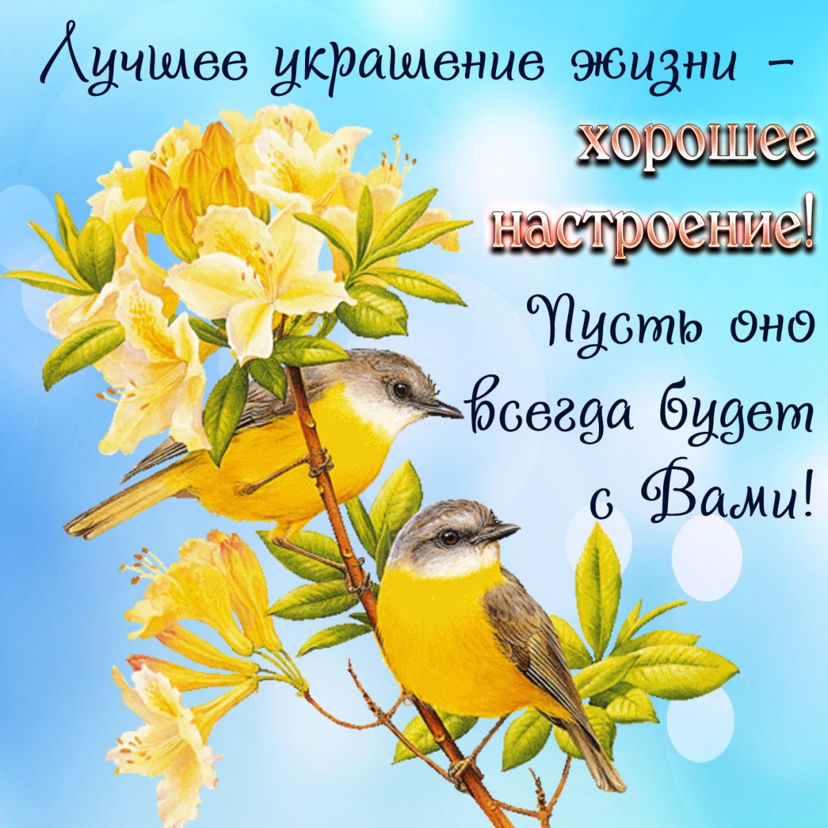 Открытки с пожеланием доброго утра