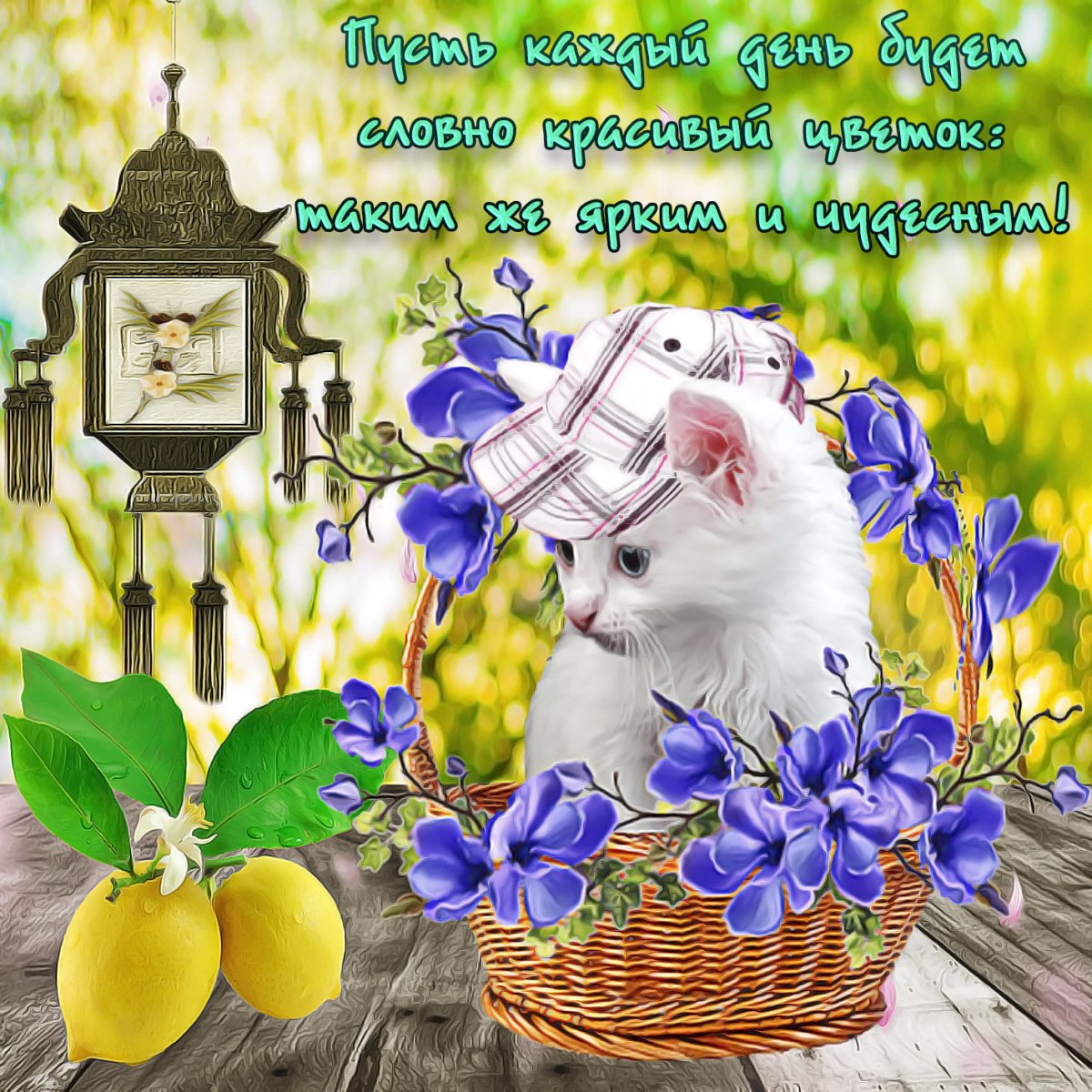 Доброе утро цитаты