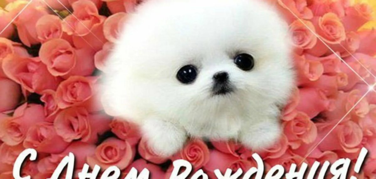 Happy Birthday з днем народження