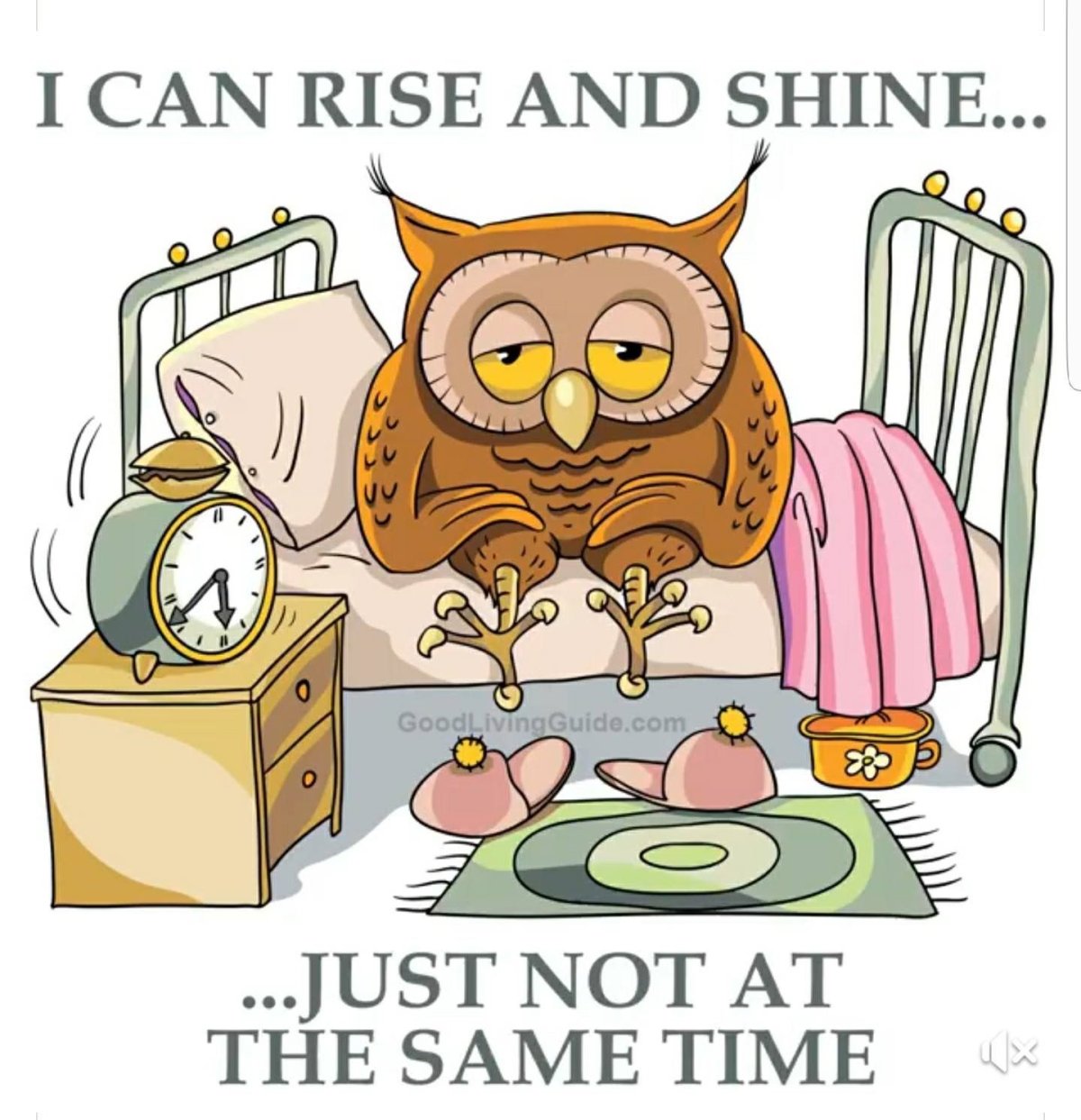 Сонная Сова