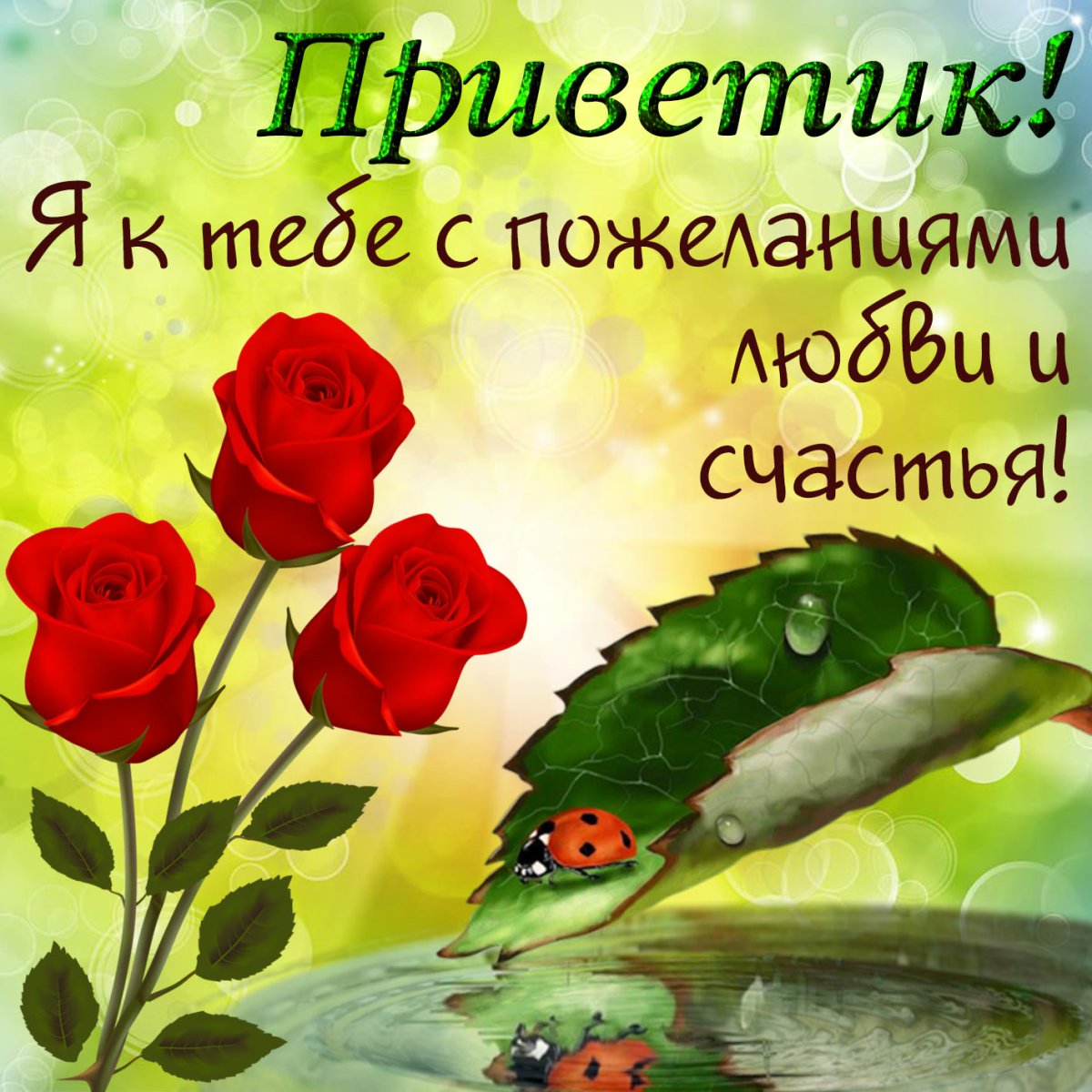 Счастья мира и добра вам