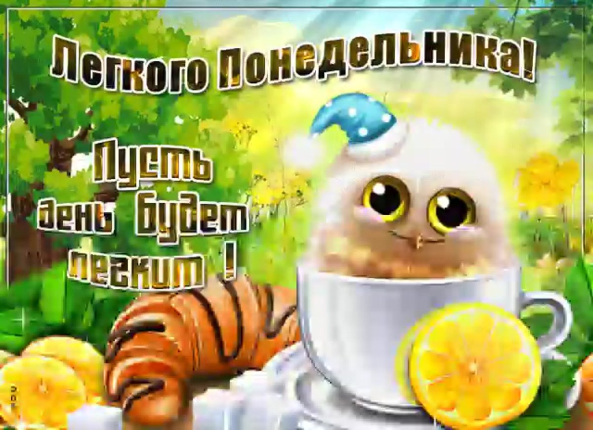 Доброе утро четверга