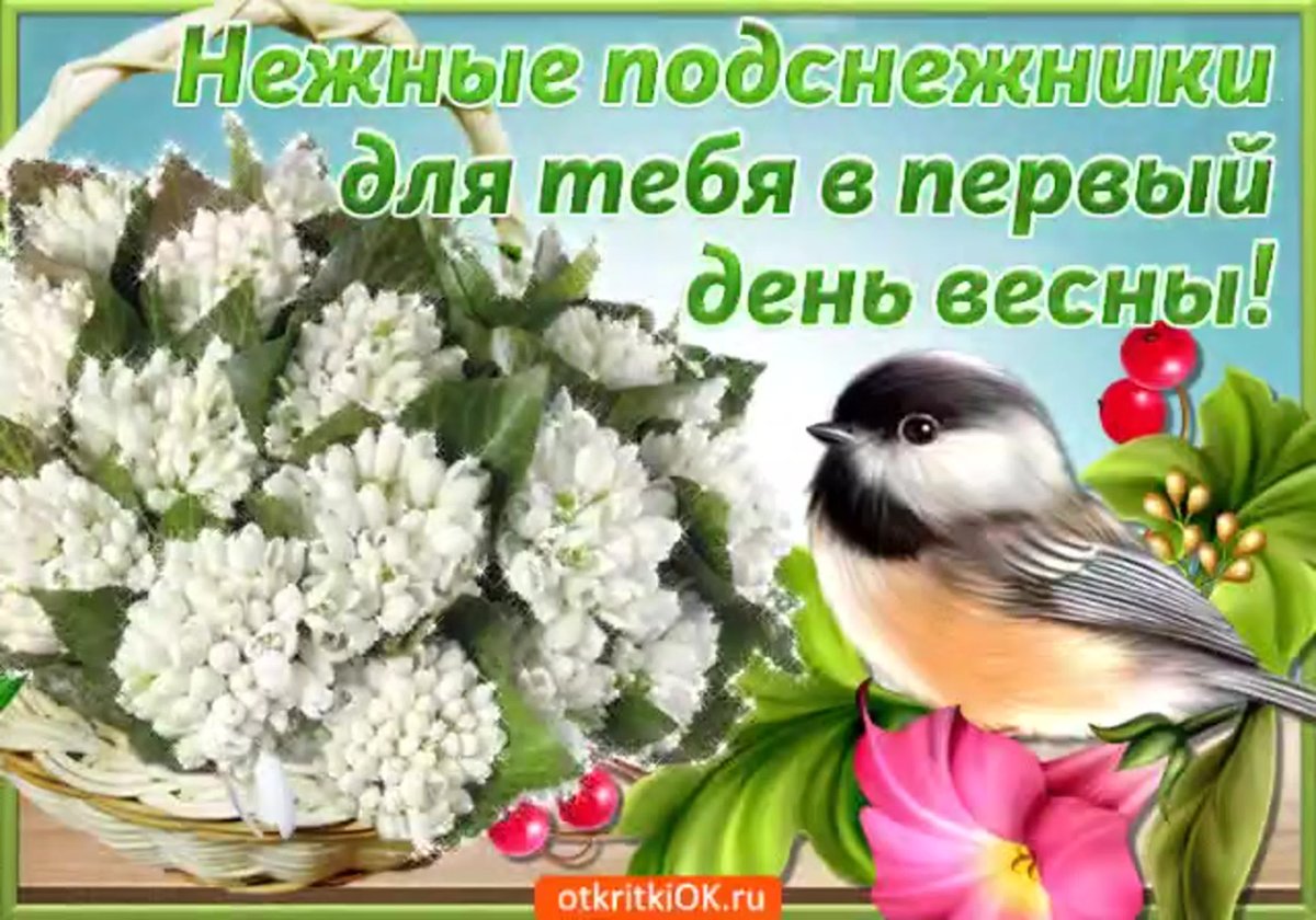 Доброго весеннего дня