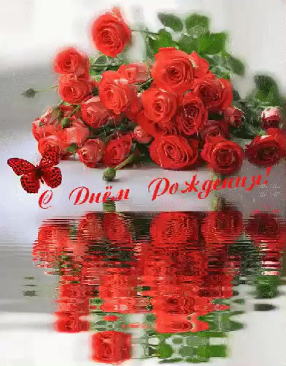 Олеся надпись