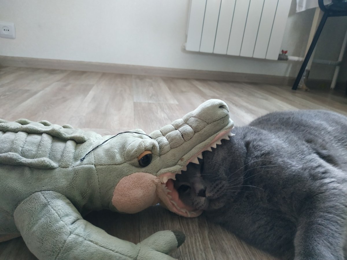 Смешной плюшевый крокодил