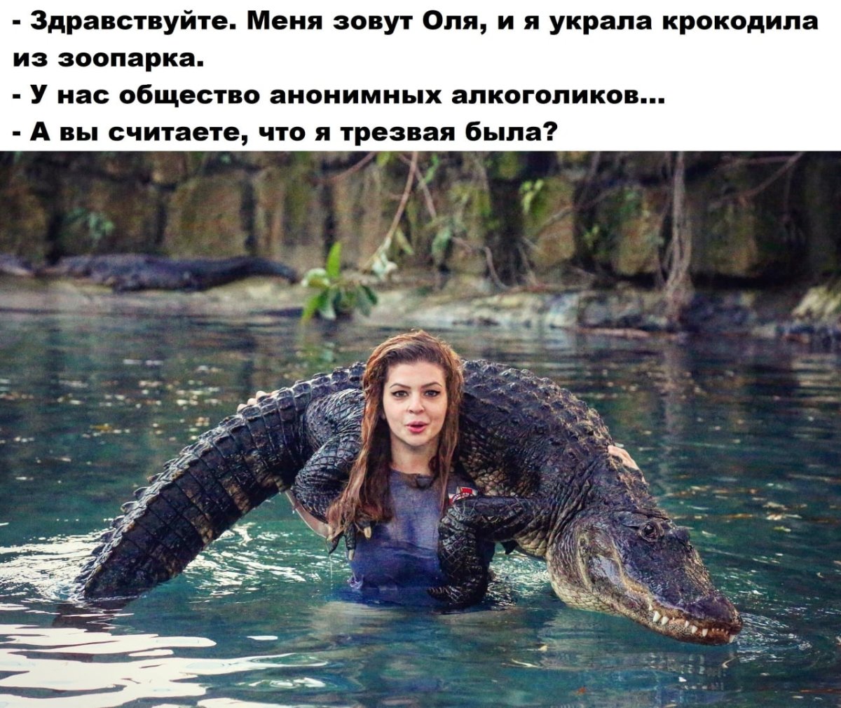 Шутки про крокодилов