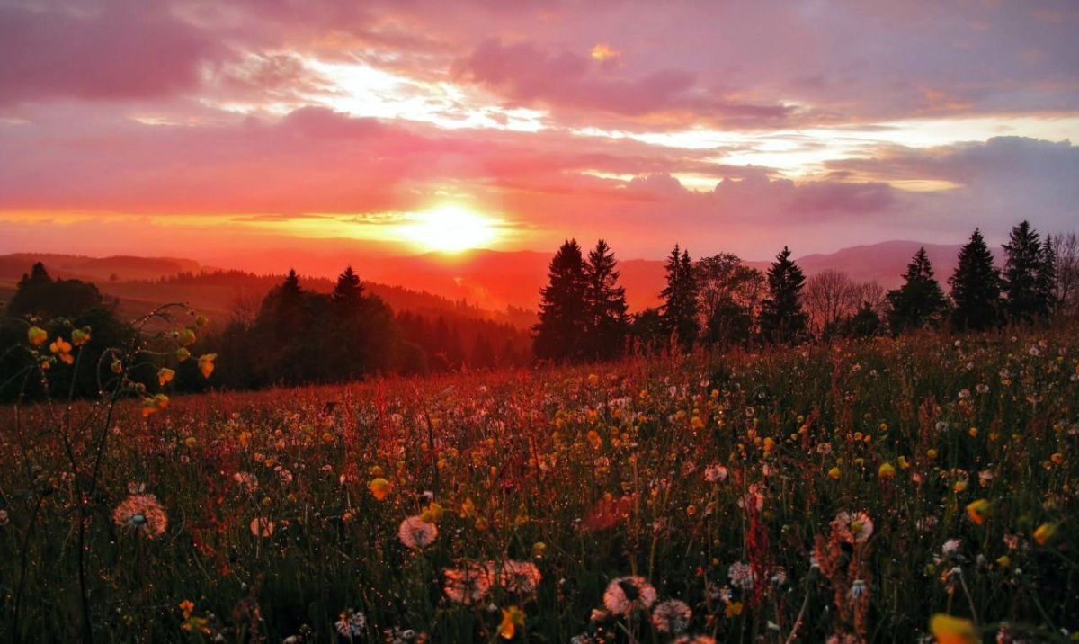 Закат в поле Эстетика